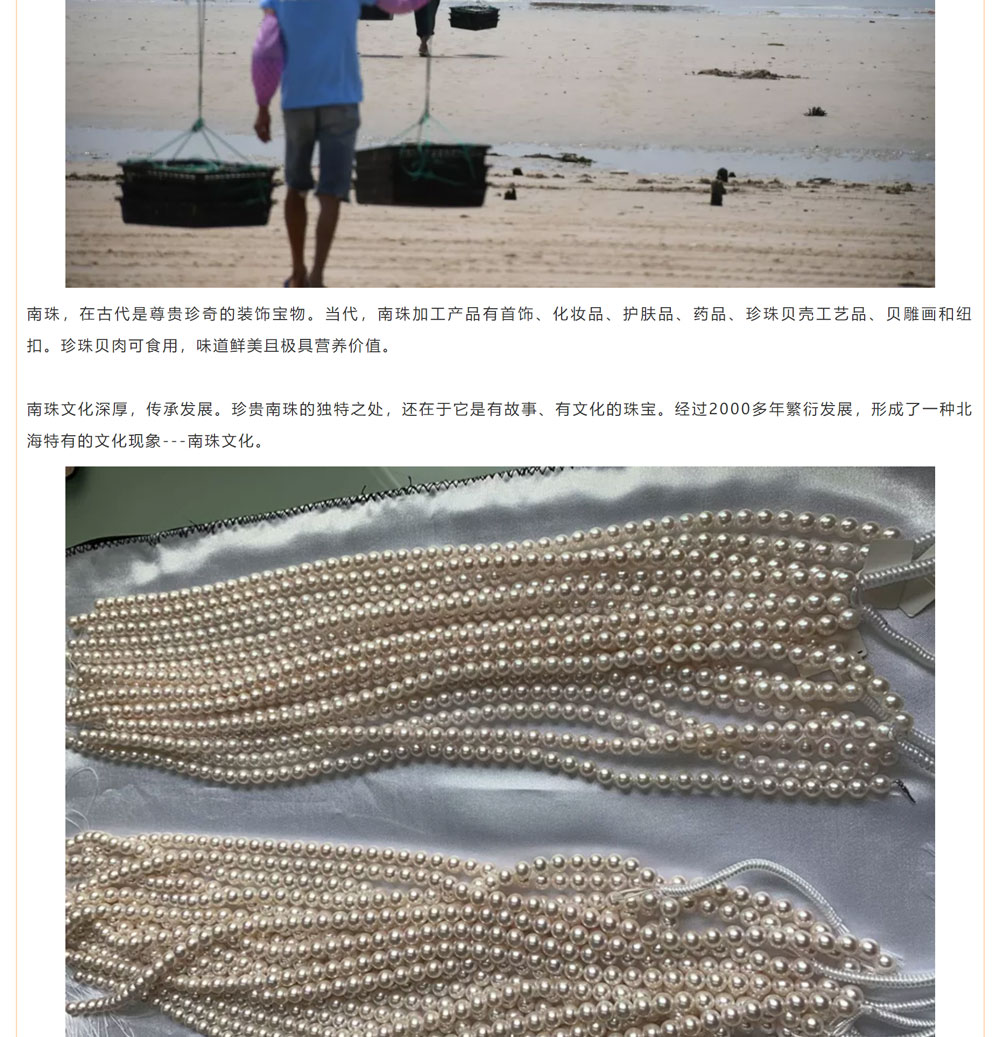 古老南珠，綻放異彩
