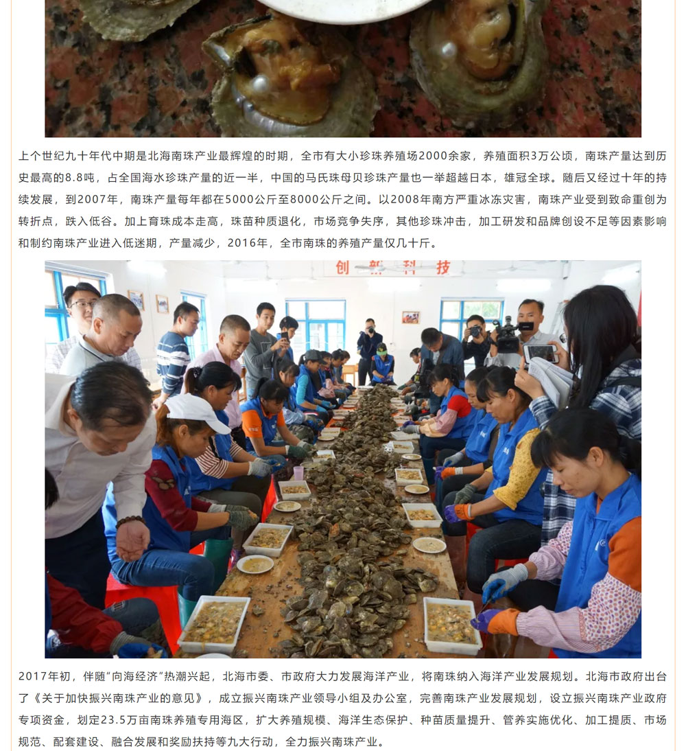 古老南珠，綻放異彩