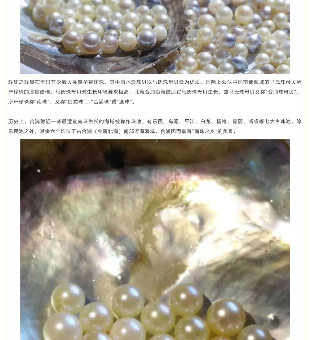 古老南珠，綻放異彩