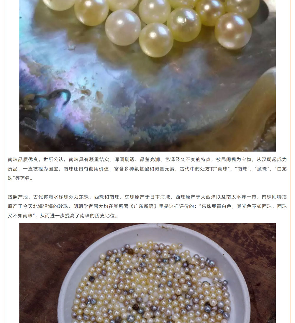 古老南珠，綻放異彩